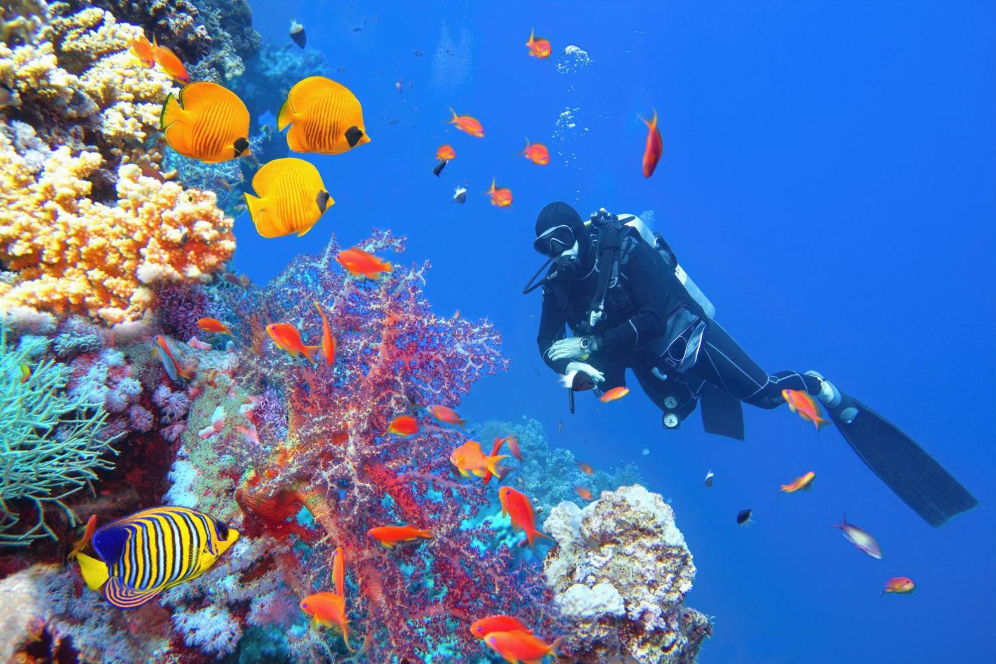 Wai Resort - Raja Ampat Pulau Birie エクステリア 写真