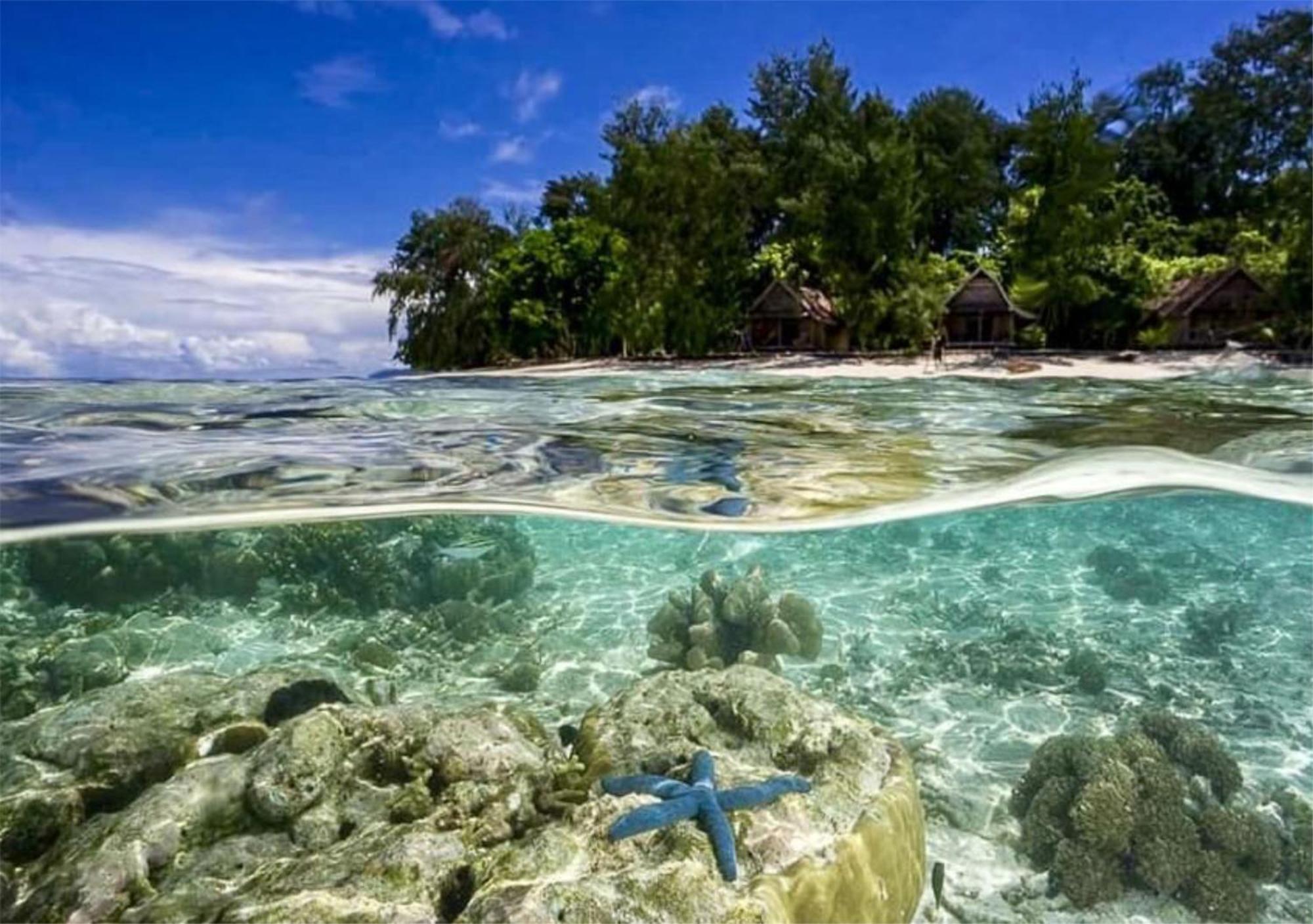 Wai Resort - Raja Ampat Pulau Birie エクステリア 写真