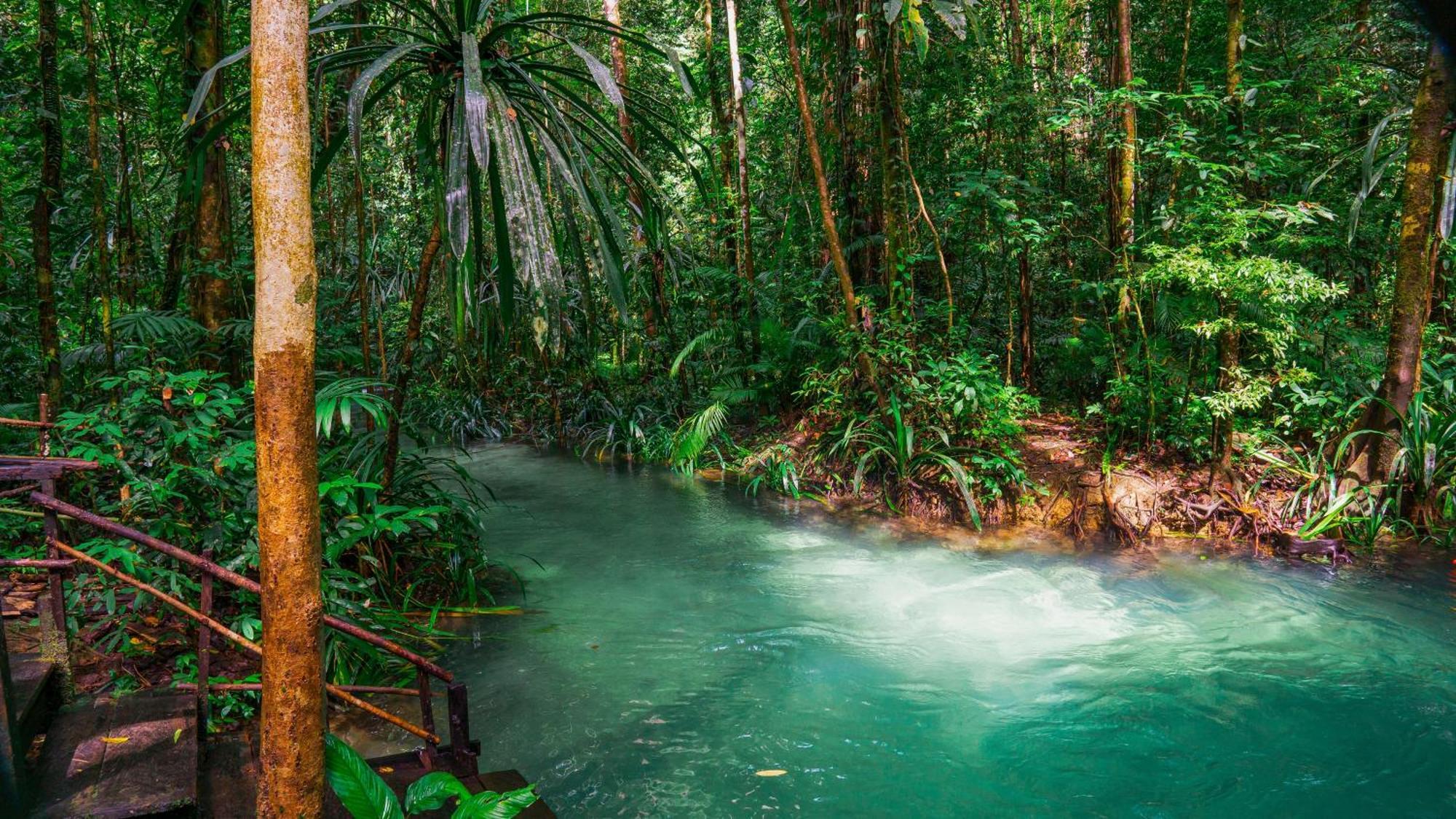 Wai Resort - Raja Ampat Pulau Birie エクステリア 写真