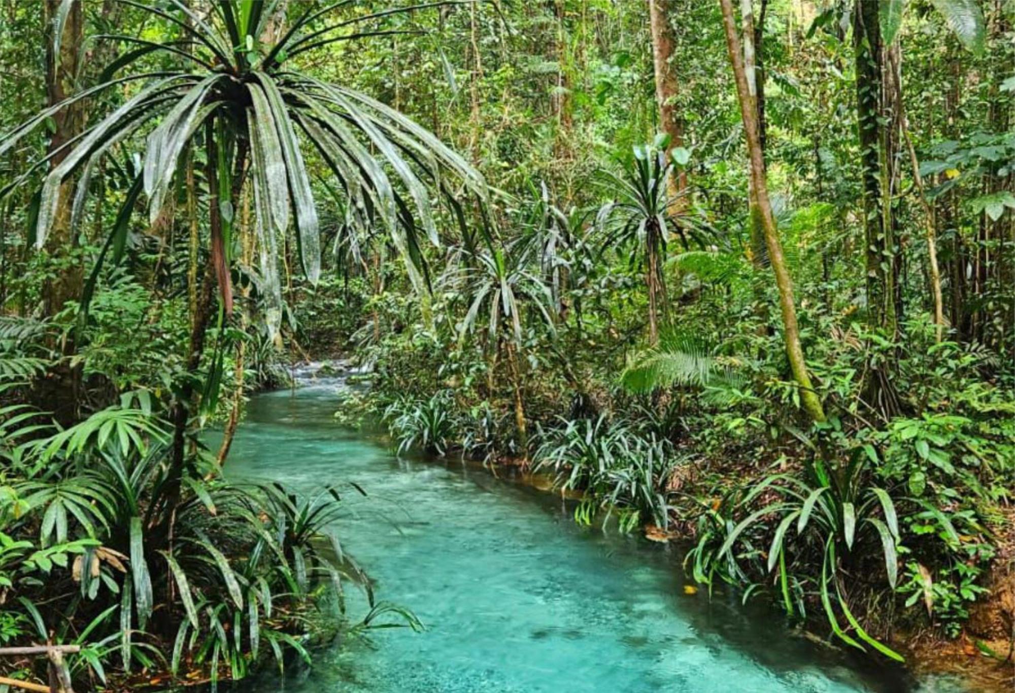 Wai Resort - Raja Ampat Pulau Birie エクステリア 写真