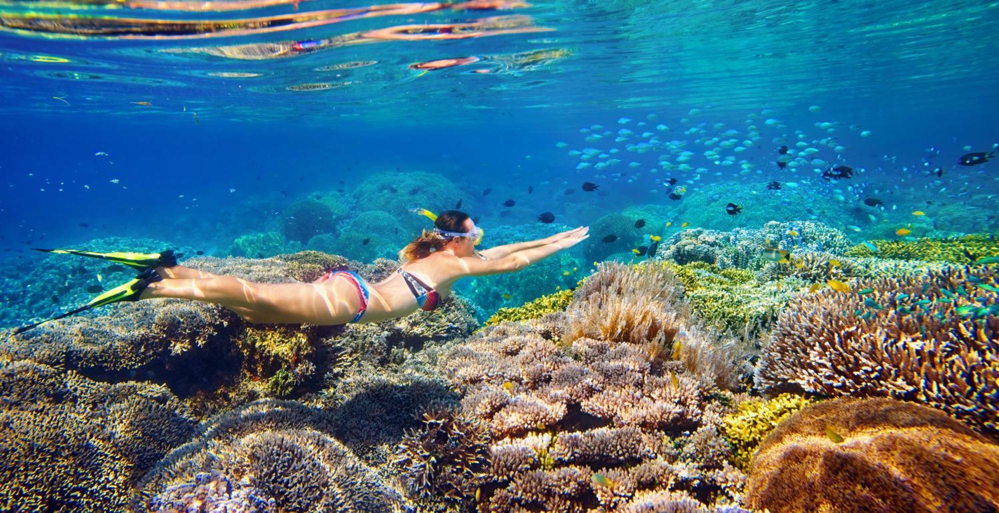 Wai Resort - Raja Ampat Pulau Birie エクステリア 写真